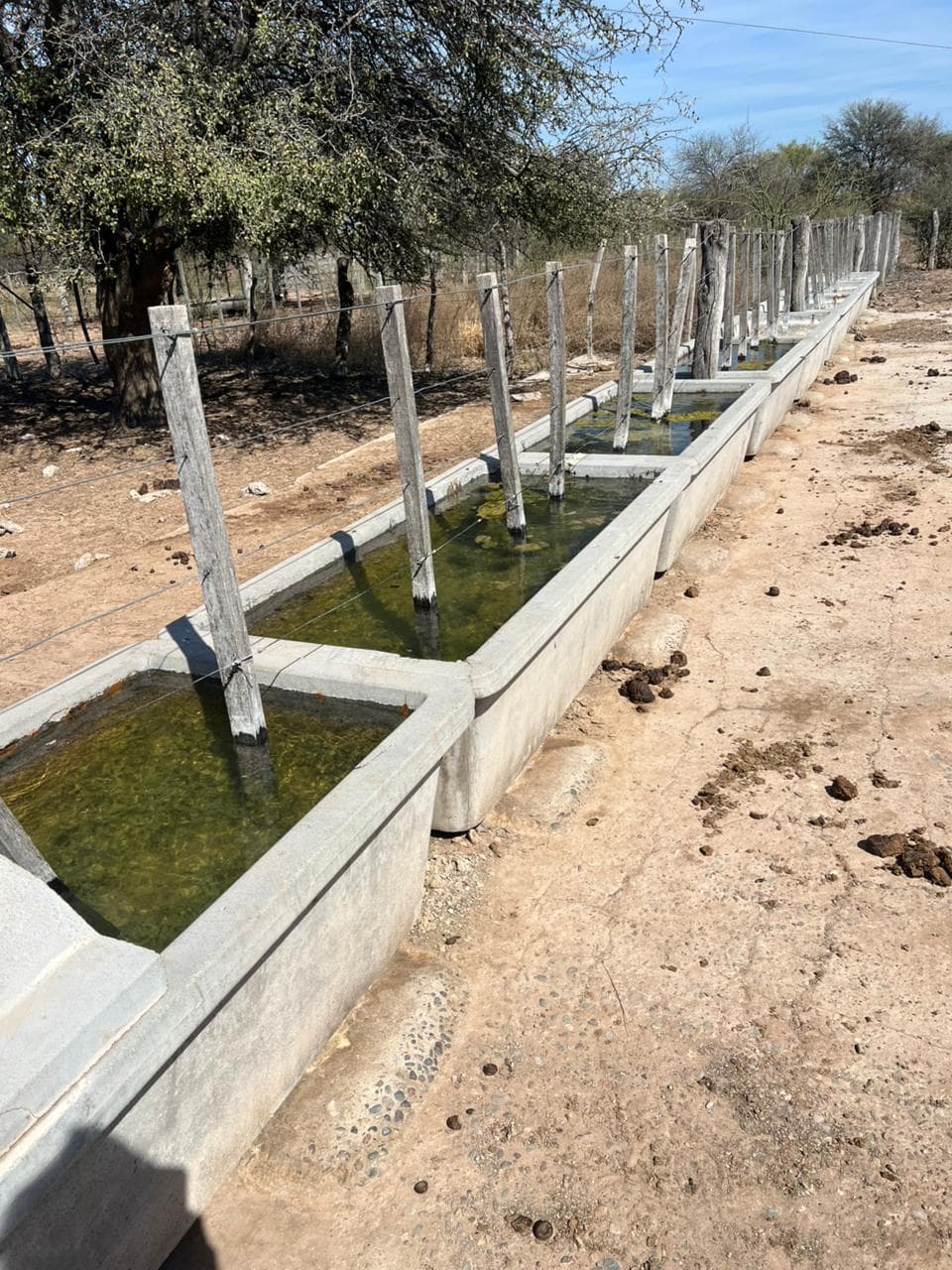 CAMPO  GANADERO  DE 800 HA. CON INSTALACIONES
